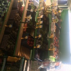 Ράφια Μαναβικής