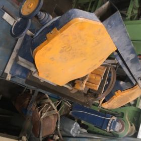 Πριονοκορδέλα Γερμανίας