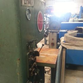 Πριονοκορδέλα Γερμανίας PEHAKA