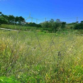 Οικοπεδο 537 τ.μ. Μπιφανας Λογοθετιανικα Κυθηρων